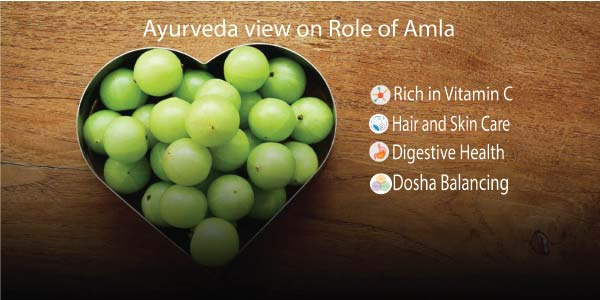 Ayurveda view on role of Amla ( Indian gooseberry) for Liver and Hepatoprotective activity a boon from Nature.