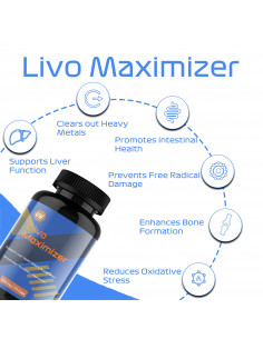 liver health 2