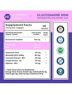 Glucosamine Chondroitin MSM... 2