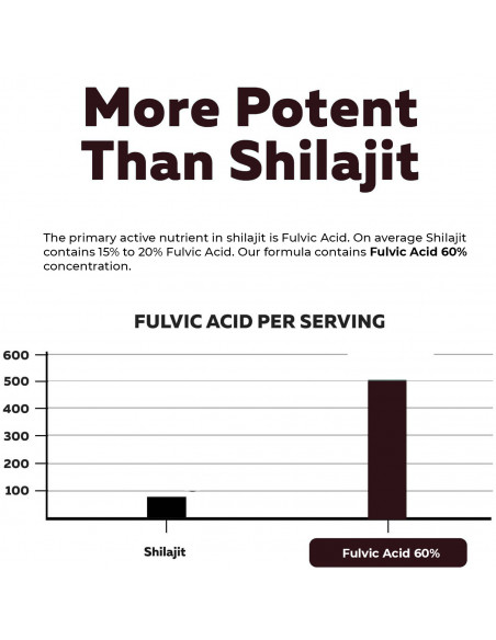 Himalayan Shilajiit For Men