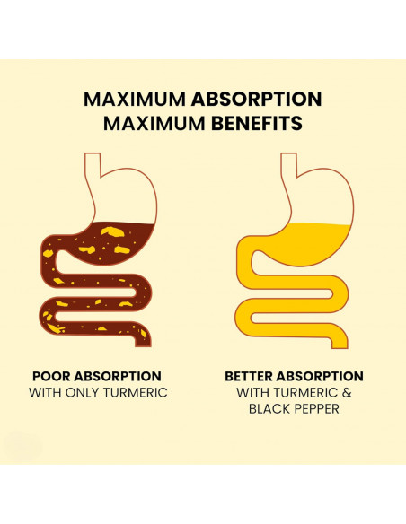 Curcumin with Piperine & Curcuminoids