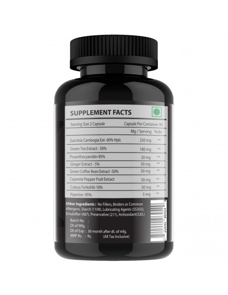 fat burner supplement