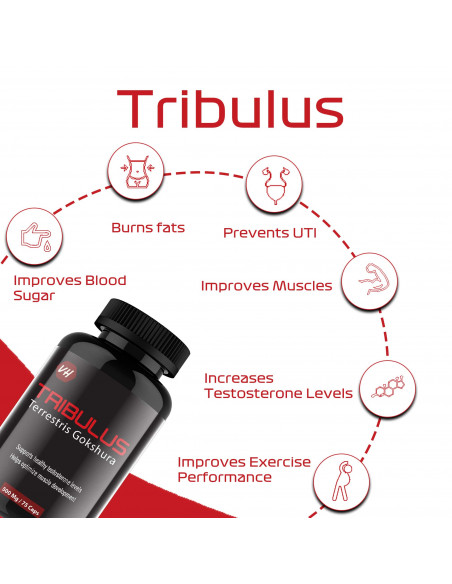 Gokharu tribulus benefits