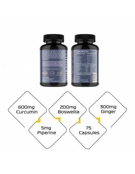 curcumin joint support