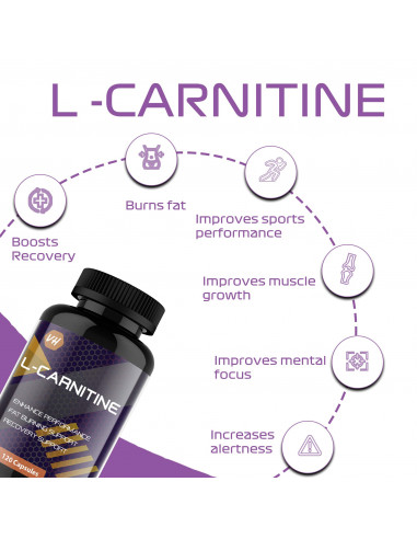 amino acid l carnitine benefits What Is CoQ10 and L-Carnitine, and How Can It Change Your Life? main image 1