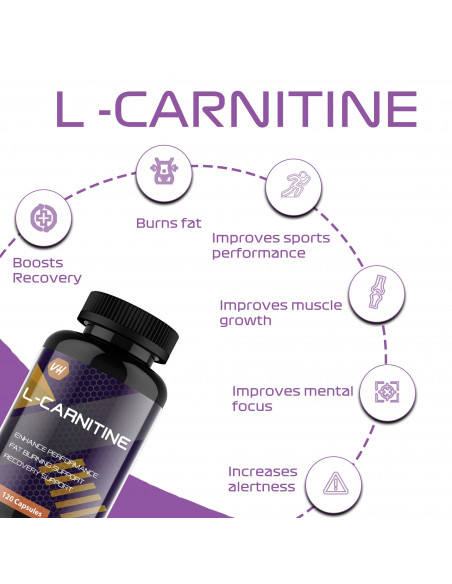 Carnitine amino acids benefits