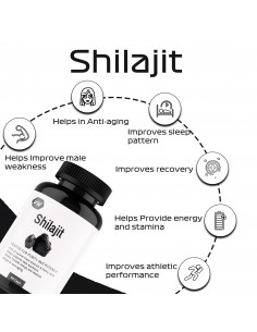 shilajit 2