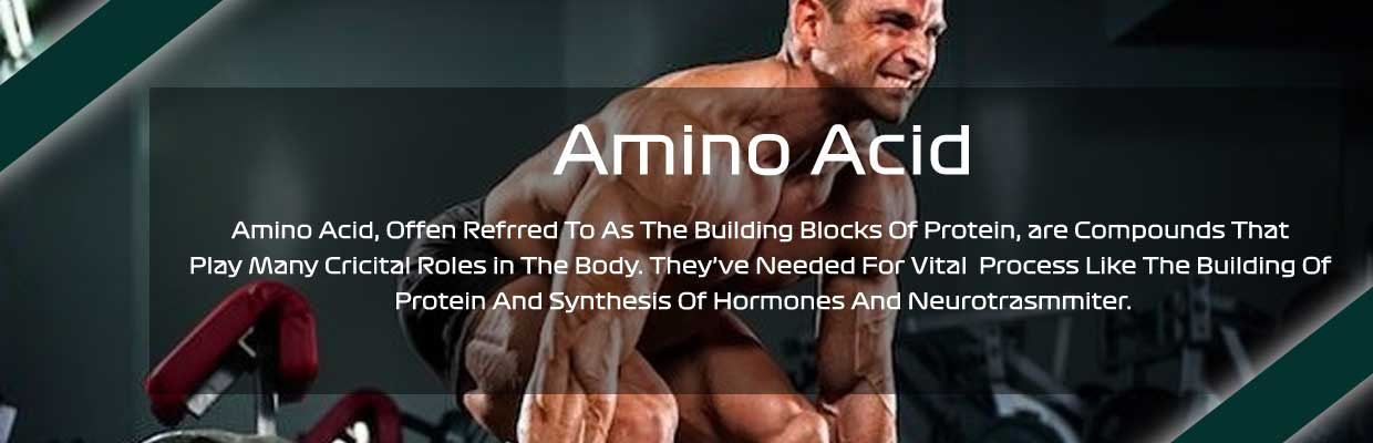 Amino Acids Muscles Supplements