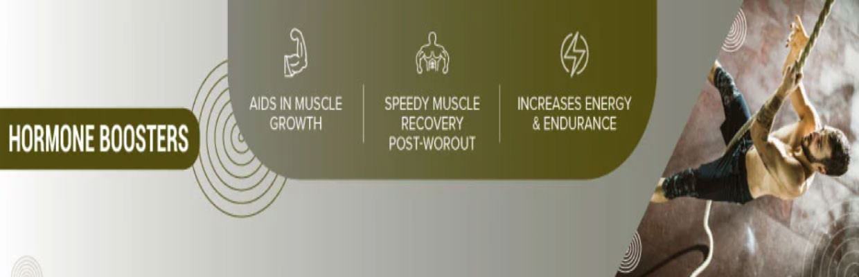 Testosterone Boosters