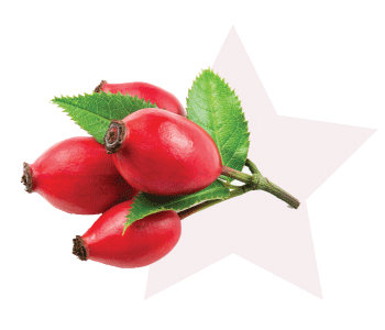 rose hips