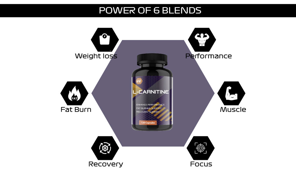 L carnitine