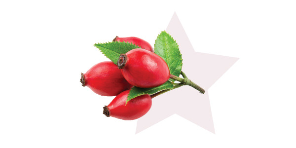 Rose Hips