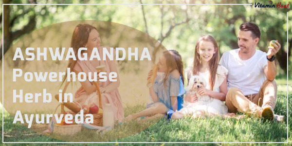 Ashwagandha : The Powerhouse Herb with a Rich Ayurvedic Heritage