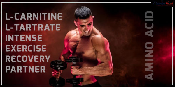 Top 10 Health Benefits of L-Carnitine and L-Tartrate (LCLT) – Intense Exercise Recovery Partner