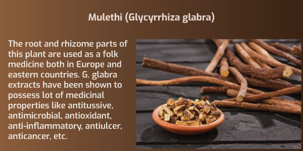 Role of Mulethi (Glycyrrhiza glabra) for Liver and Fatty Liver Management.