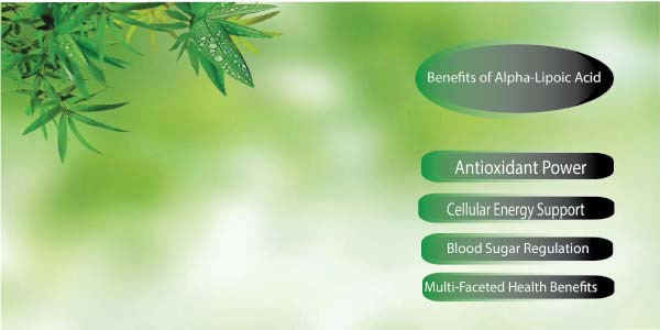 Role of Powerful Antioxidant for Liver Health Management