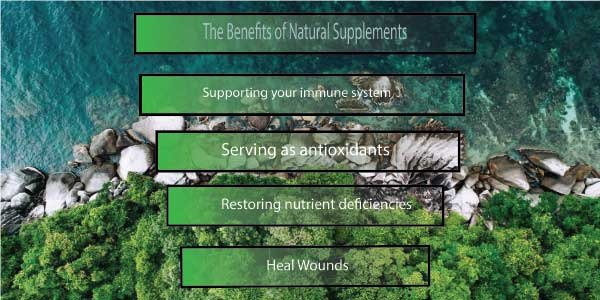 Choosing the Right Health Supplements : Your Key to Better Health